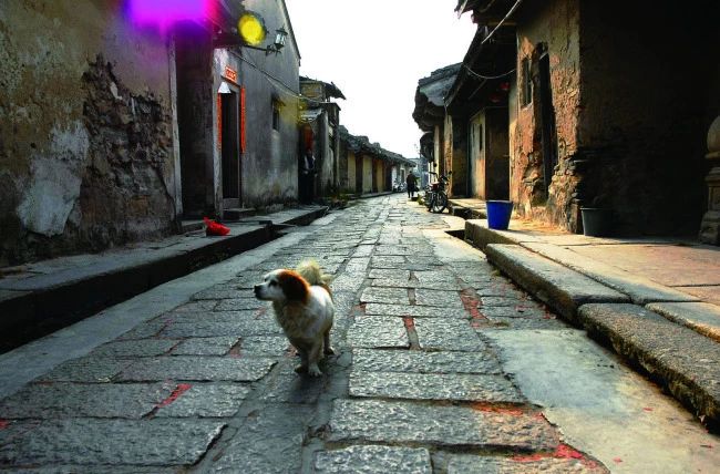 1550474442440430.jpg 0 (2).jpg