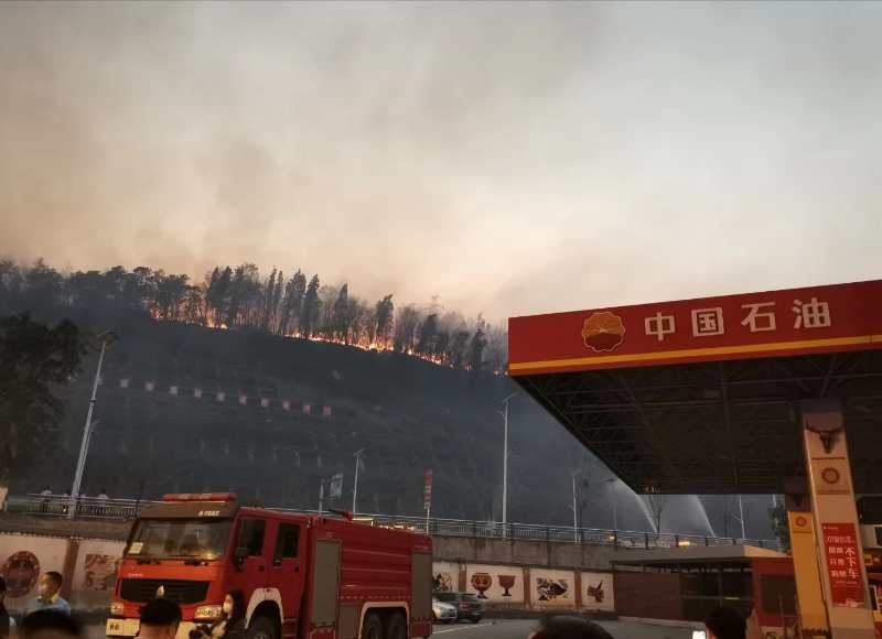 1585727417121788.jpg 534953606877216504.jpg