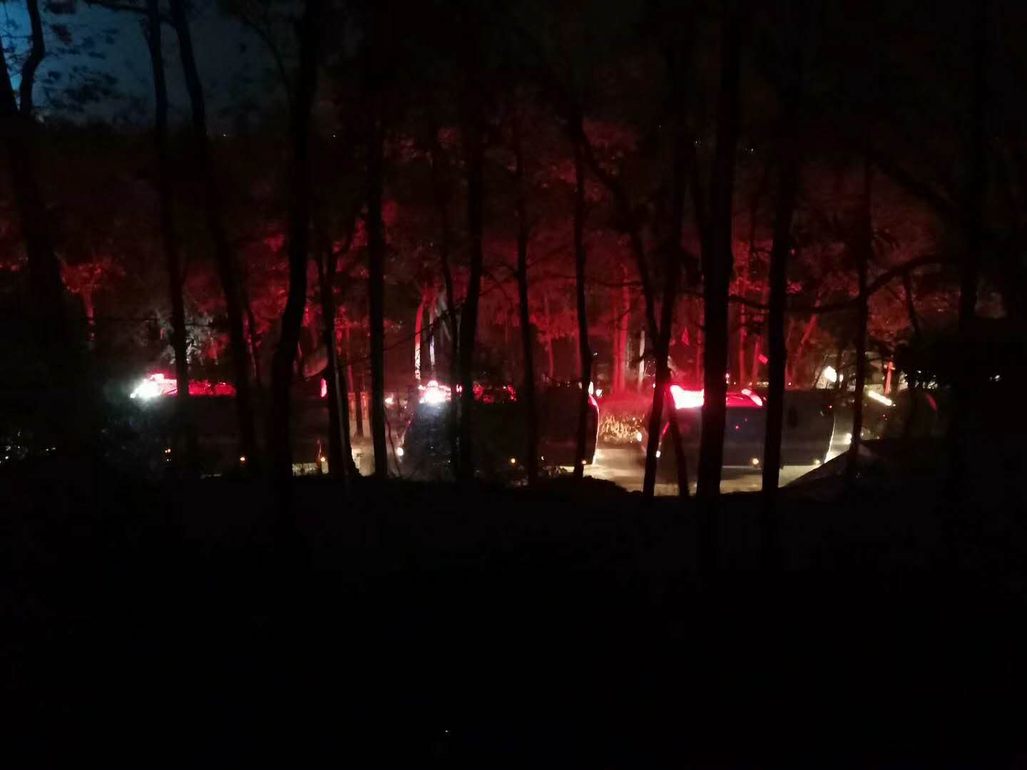 1585727821112463.jpg 1585727821112463.jpg